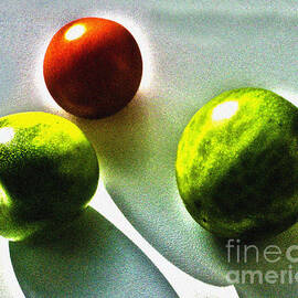 Tomato Phases by Kim Lessel