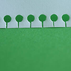 Torn Spiral Bound Page Resembling A Row by David Malan