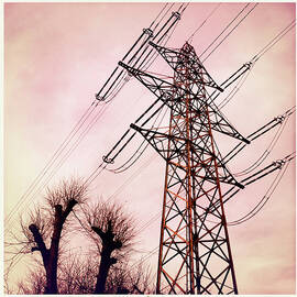 Transmission line with bare trees and red sky by Matthias Hauser