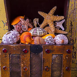 Treasure chest with gold coins Photograph by Garry Gay - Pixels