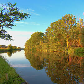 Tree At The Waterside by By R. Smallenbroek