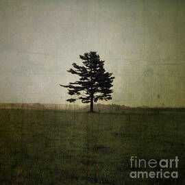 Tree Journey - 01at by Variance Collections