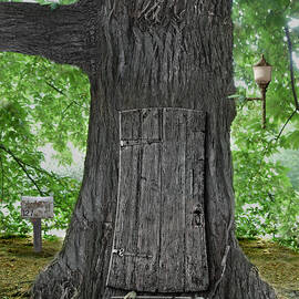 Treehouse Door by Mike Agliolo