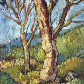 Trees in Spring by Randy Wollenmann