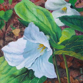 Trilliums IV by Rose Wark