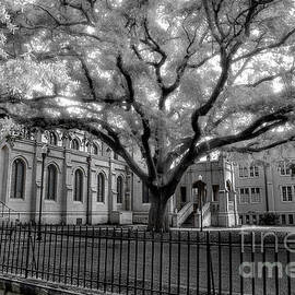 Trinity Episcopal Cathedral 2 by Michael Eingle