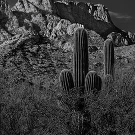 Tucson Topo by Mark Myhaver
