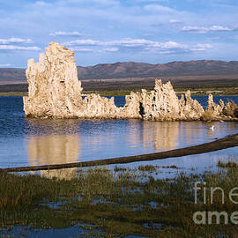 Tufa Reflections by Adam Jewell