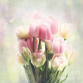 tulip bouquet by Sylvia Cook