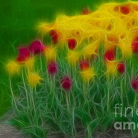 Tulips-6748-Fractal by Gary Gingrich Galleries