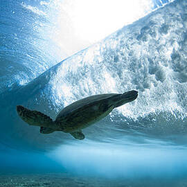 Turtle clouds by Sean Davey