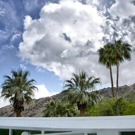 TUXEDO CIRCLE RIGHT TIME Palm Springs CA by William Dey