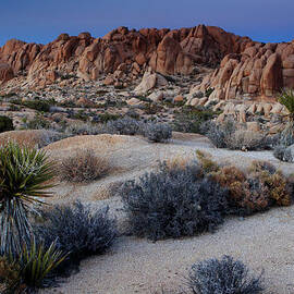 Twilight at Joshua Tree by Eric Foltz