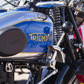 NSD Triumph by Tim Gainey