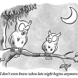 Two Owls Sit On A Tree Branch Talking To Each by Robert Leighton