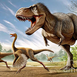 Tyrannosaurus Rex Attacking Two by Mohamad Haghani