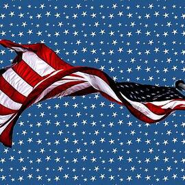 U. S. Flag on Starred Background