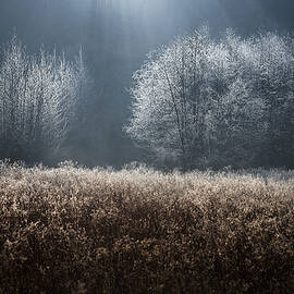 Untitled by Kristjan Rems