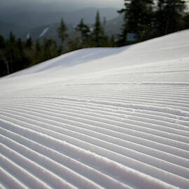 Untracked Corduroy On A Trail At Sunday by David McLain