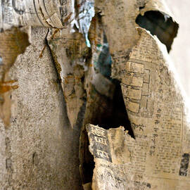 Urban Decay 8 by Rick Saint