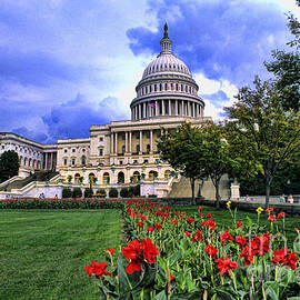 U.s. Capitol Building by Bill Bachmann