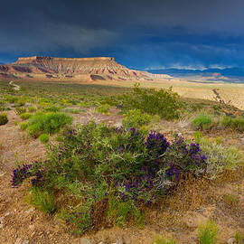 Utah landscape by Alexey Stiop