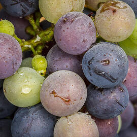 Variation by Jean Noren