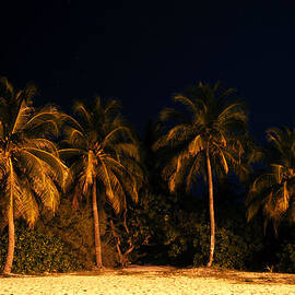 Velvet Night on the Island 1 by Jenny Rainbow