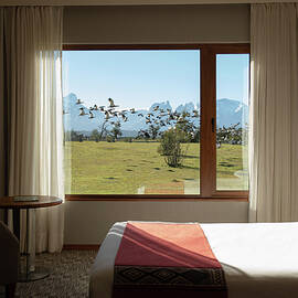 View From Hotel In Torres Del Paine by Marcos Ferro