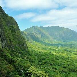 View From The Old Pali Road