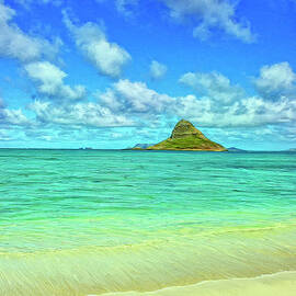 View of Chinaman's Hat by Dominic Piperata