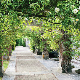 Vine Covered Columns And  Garden Path by Tim Beddow