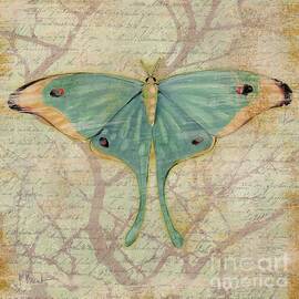 Vintage Butterfly IV by Paul Brent