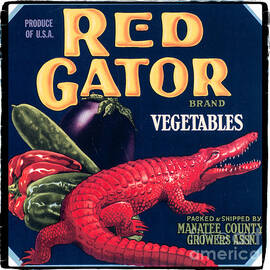 Vintage Florida Food Signs 6 - Red Gator Brand - Square by Ian Monk