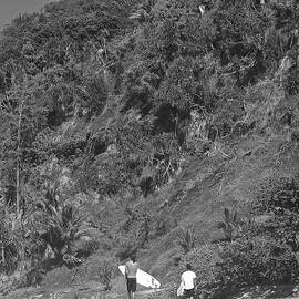 Vintage Surfers by Steven Lapkin