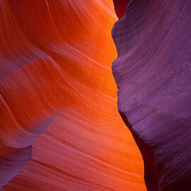 Virgin Canvas by Darren White