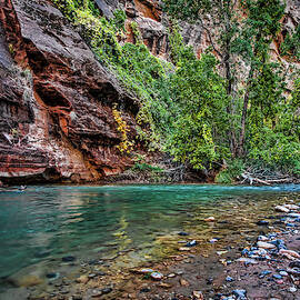 Virgin River Zion National Park Utah by George Buxbaum