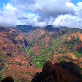 Waimea Canyon by Brian Harig