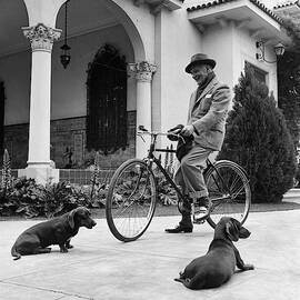 Waldemar Schroder On A Bicycle With Two Dogs by Luis Lemus