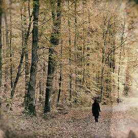 Walk in the forest - nostalgic wetplate effect by Matthias Hauser