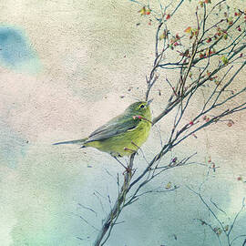 Warbler in a Huckleberry Bush by Peggy Collins