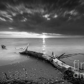 Washed Up bw by Michael Ver Sprill