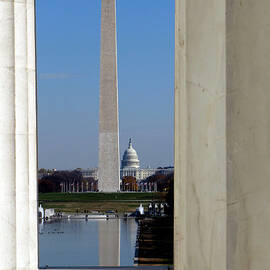 Washington Landmarks by Olivier Le Queinec
