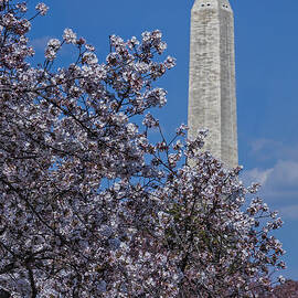 Washington Monument by Susan Candelario
