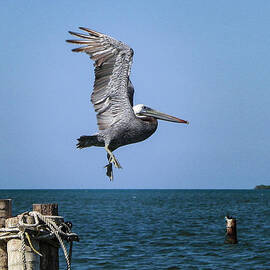 Watch This by Jean Noren