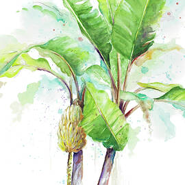 Watercolor Banana Plantain by Patricia Pinto