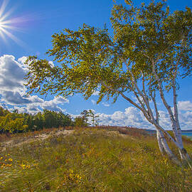 October Sunshine By The Lake