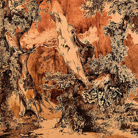 Weathered Tree Trunks in a Park by Mountain Dreams
