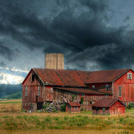 Weathering the Storm by Lori Deiter