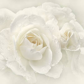 Wedding Day White Roses by Jennie Marie Schell